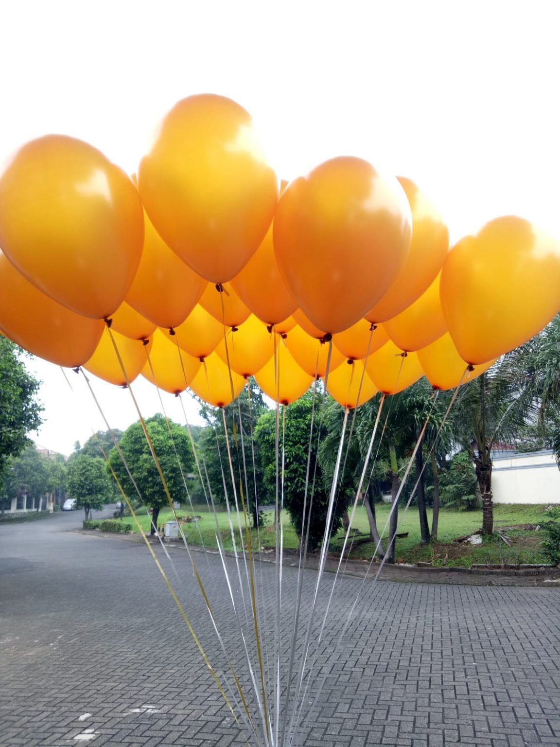 Lejon Heliumballong